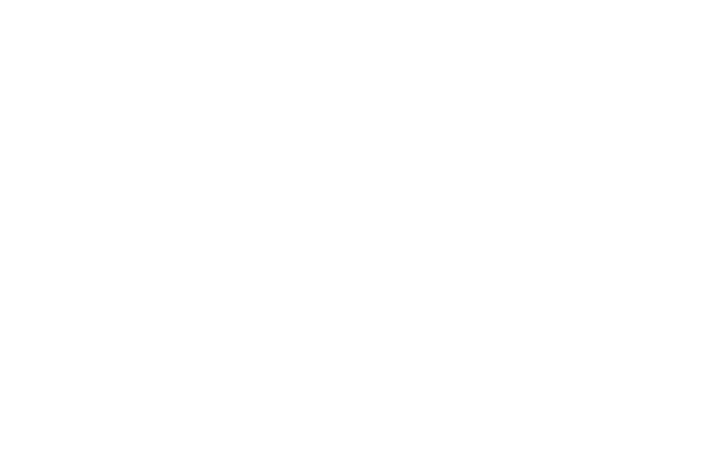 Mint Logo